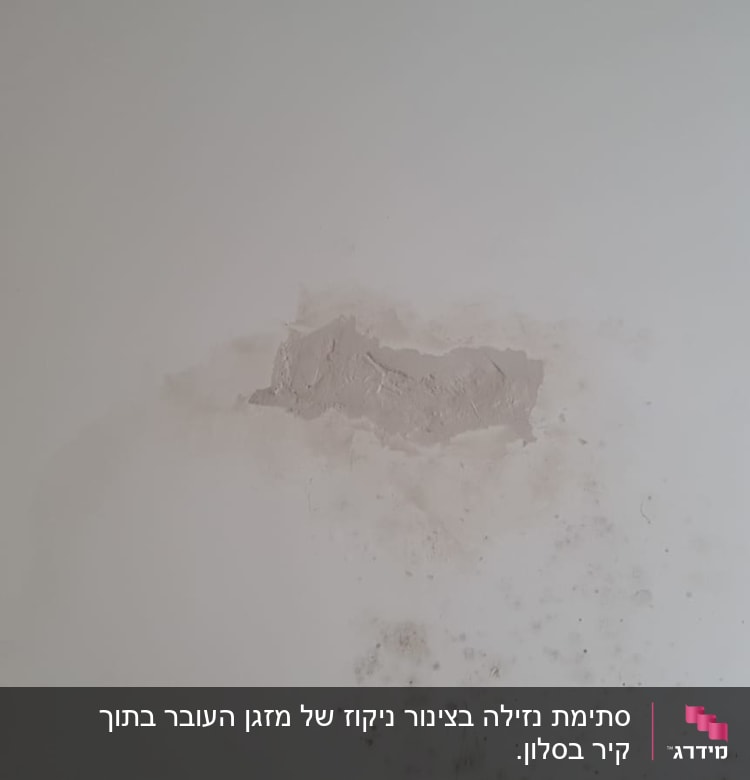 קיר עם חור ותיקון טיח, סימני רטיבות